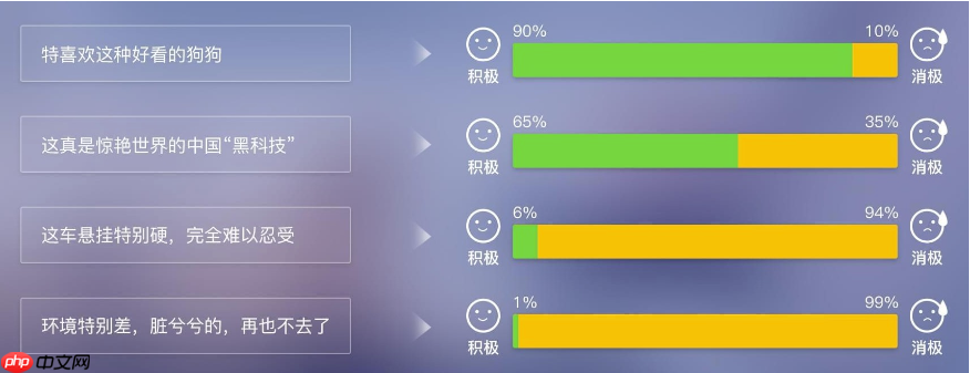 【智情洞察】PaddlePaddle 3.0驱动的售后评价分析与优化系统 - php中文网