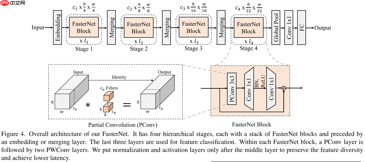 【CVPR2023】FasterNet：追逐更高FLOPS、更快的神经网络 - php中文网
