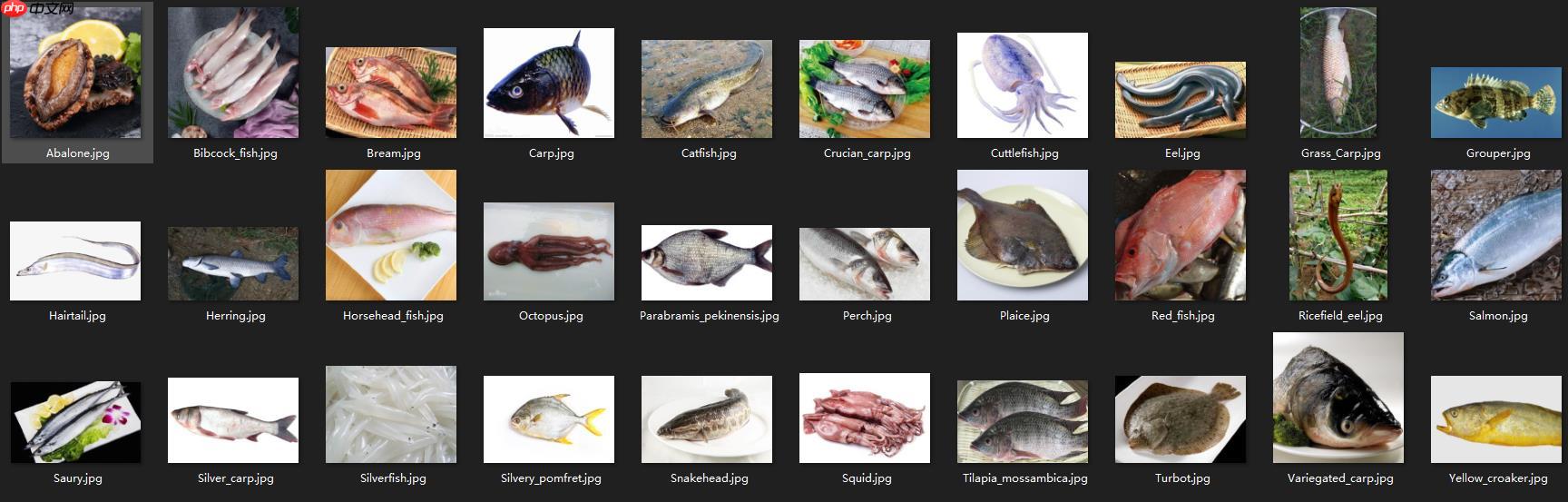 『AI达人创造营』基于PaddleHub实现常见鱼类分类及微信小程序部署 - php中文网