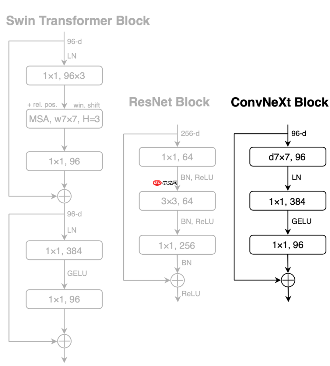 基于PaddlePaddle的ConvNeXt复现 - php中文网