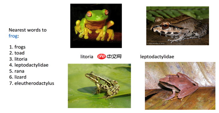 文本离散表示方法 - php中文网