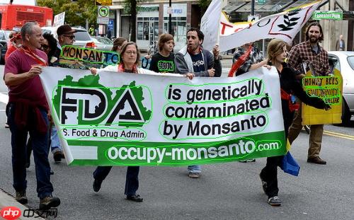 基于PaddleOCR的FCENet复现 - php中文网