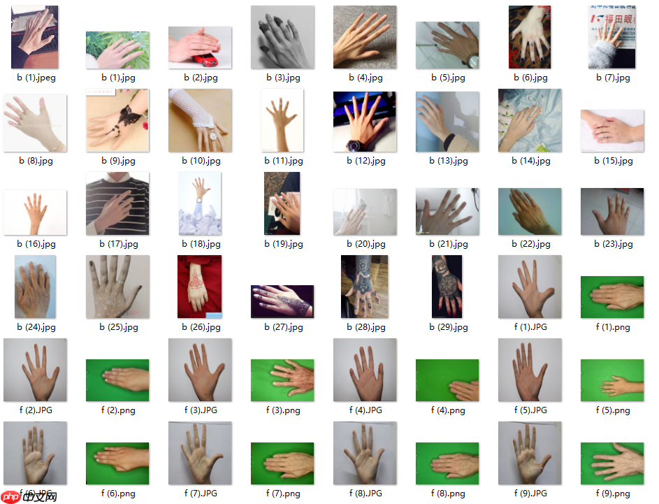 数据增广+手势识别[Paddlehub+PaddleX] - php中文网