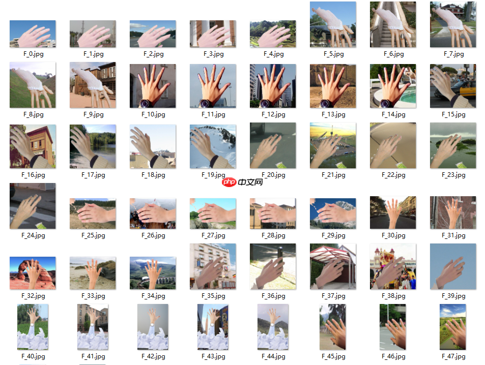 数据增广+手势识别[Paddlehub+PaddleX] - php中文网