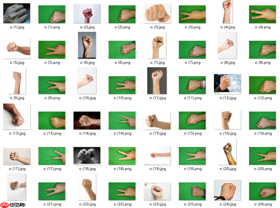 数据增广+手势识别[Paddlehub+PaddleX] - php中文网