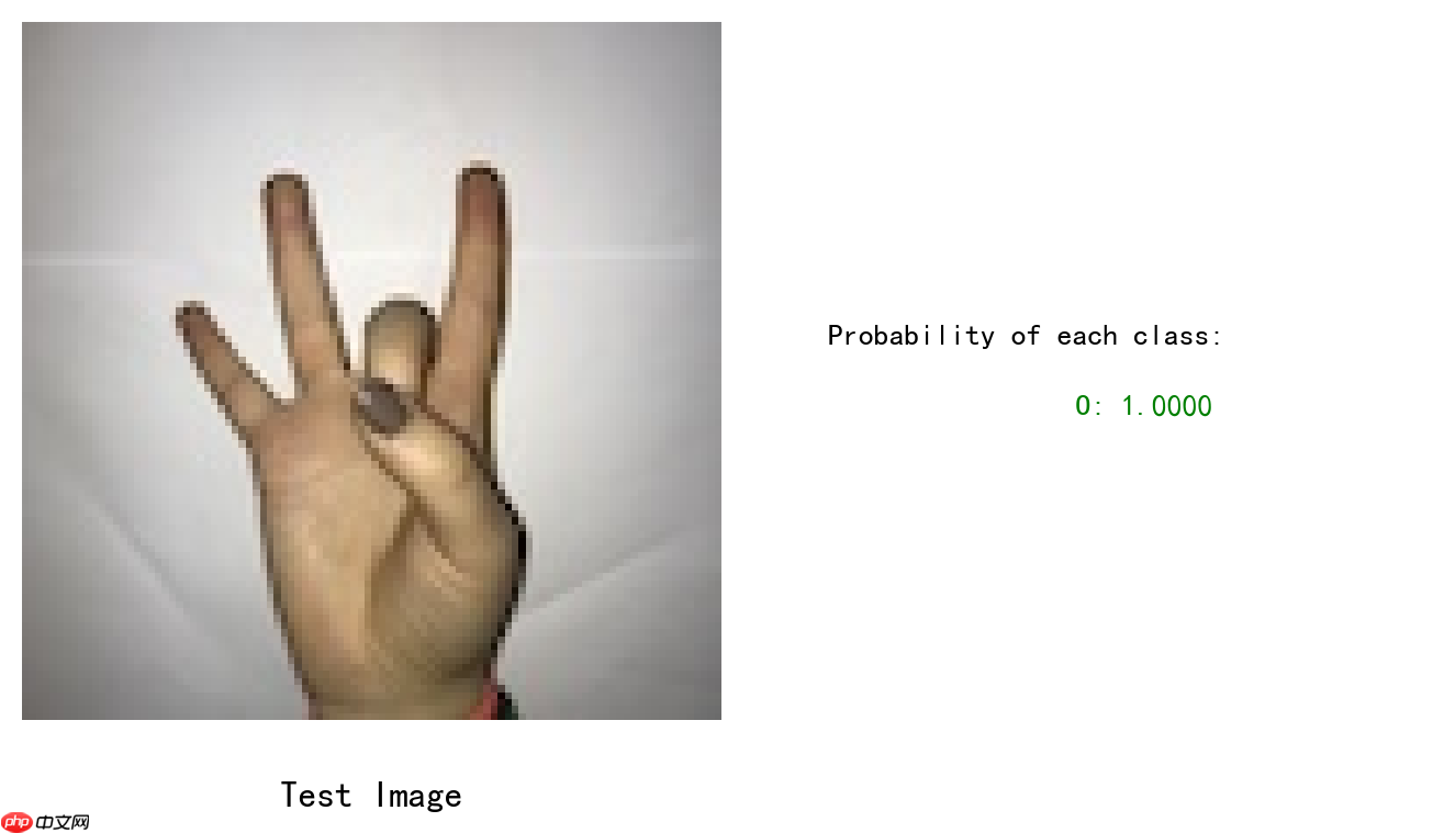 数据增广+手势识别[Paddlehub+PaddleX] - php中文网