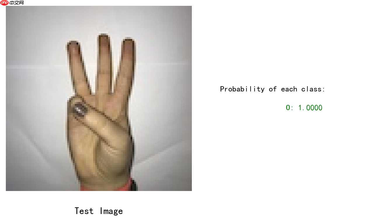 数据增广+手势识别[Paddlehub+PaddleX] - php中文网