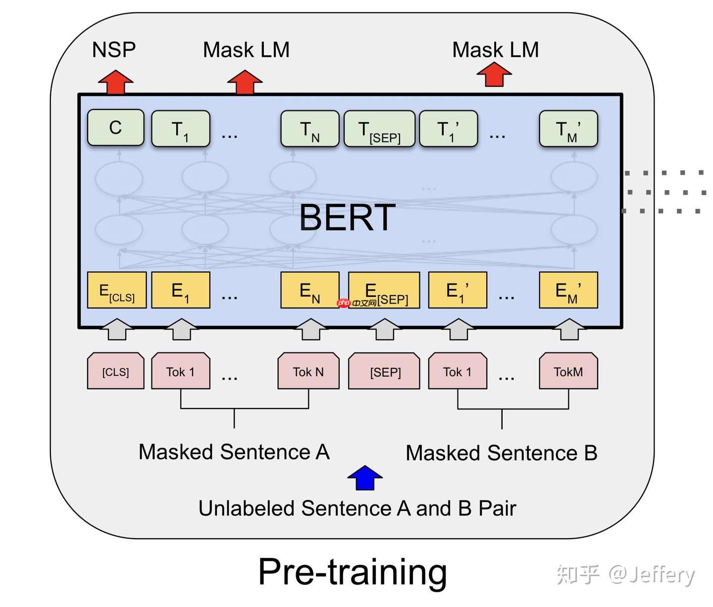 PaddleNLP2.0：BERT模型在文本分类任务上的应用 - php中文网