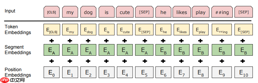 PaddleNLP2.0：BERT模型在文本分类任务上的应用 - php中文网