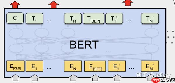 PaddleNLP2.0：BERT模型在文本分类任务上的应用 - php中文网