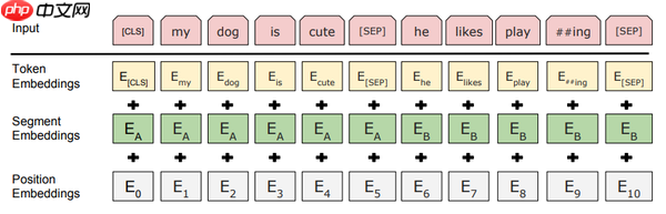 PaddleNLP2.0：BERT模型在文本分类任务上的应用 - php中文网