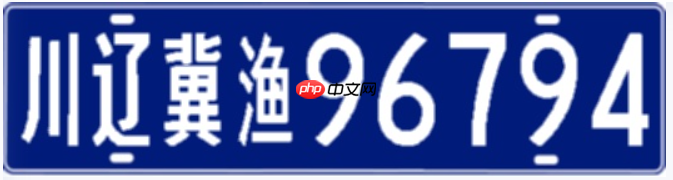 基于PaddleOCR的渔船牌照识别 - php中文网