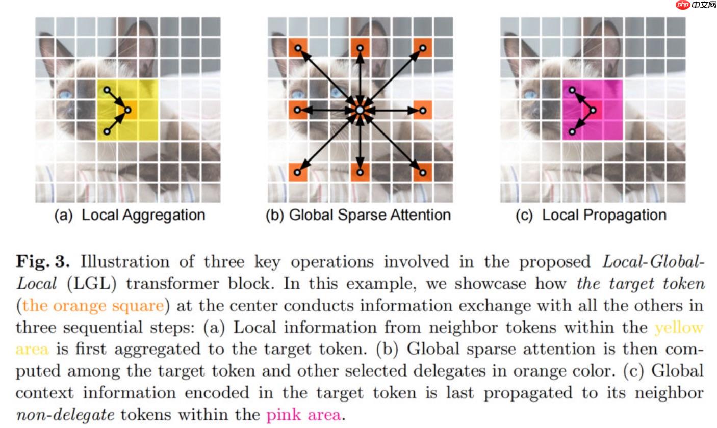 轻量级Vision-Transformer:EdgeViTs复现 - php中文网