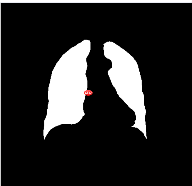 图像分割预处理简单实用技巧 - php中文网