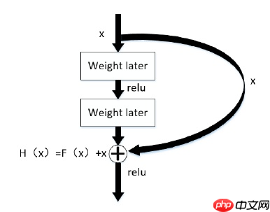 【AI达人训练营】基于飞桨高层 API 实现草莓生长阶段识别 - php中文网