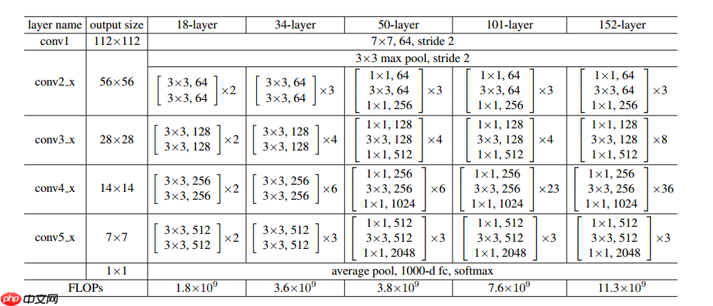 【AI达人训练营】基于飞桨高层 API 实现草莓生长阶段识别 - php中文网