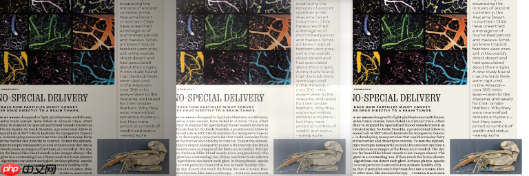 百度网盘AI大赛——图像处理挑战赛：文档图像摩尔纹消除第七名方案 - php中文网