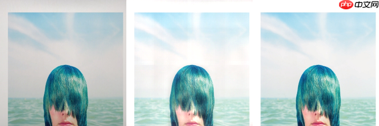 百度网盘AI大赛——图像处理挑战赛：文档图像摩尔纹消除第七名方案 - php中文网