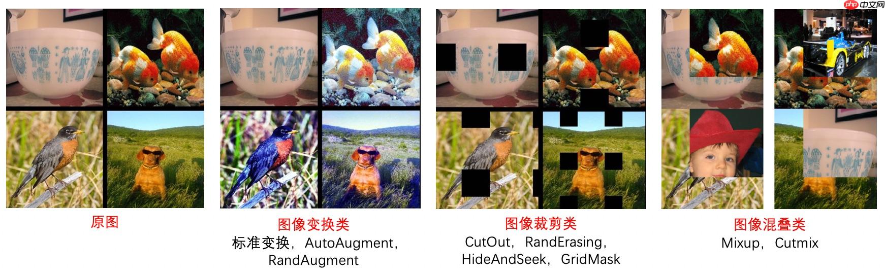 柠檬分类竞赛:飞桨图像分类套件PaddleClas竞赛实战 - php中文网