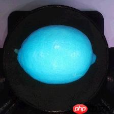 柠檬分类竞赛:飞桨图像分类套件PaddleClas竞赛实战 - php中文网