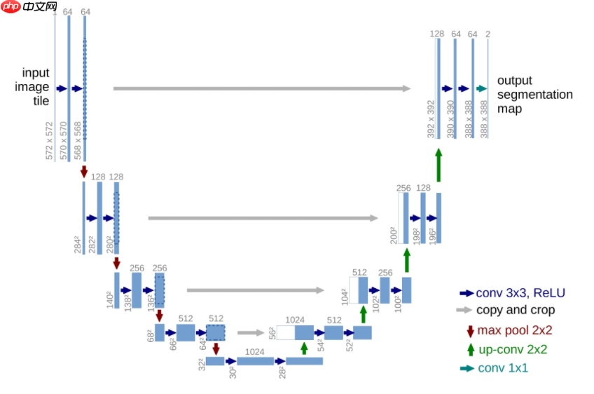 [AI达人特训营]印度vs津巴布韦！板球比赛语义分割 - php中文网