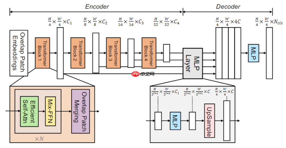 [AI达人特训营]印度vs津巴布韦！板球比赛语义分割 - php中文网