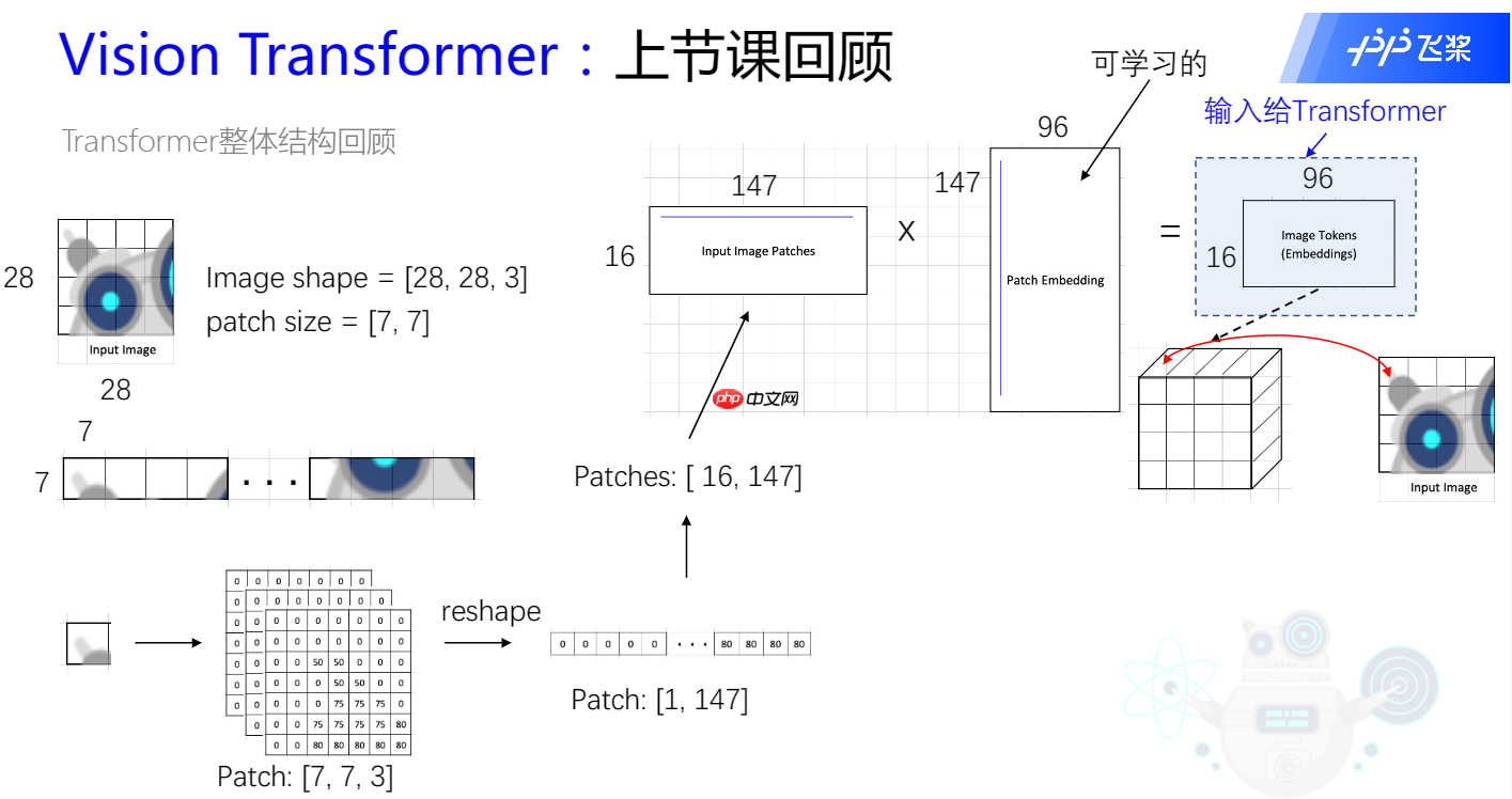 复现篇：Vision Transform复现及讲解 - php中文网