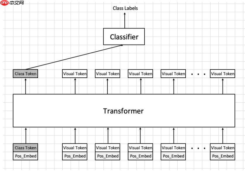 复现篇：Vision Transform复现及讲解 - php中文网