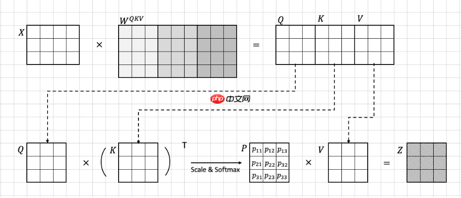 复现篇：Vision Transform复现及讲解 - php中文网