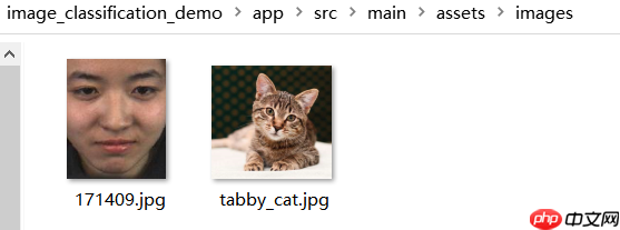 微表情——直抵内心深处最真实的情感 - php中文网