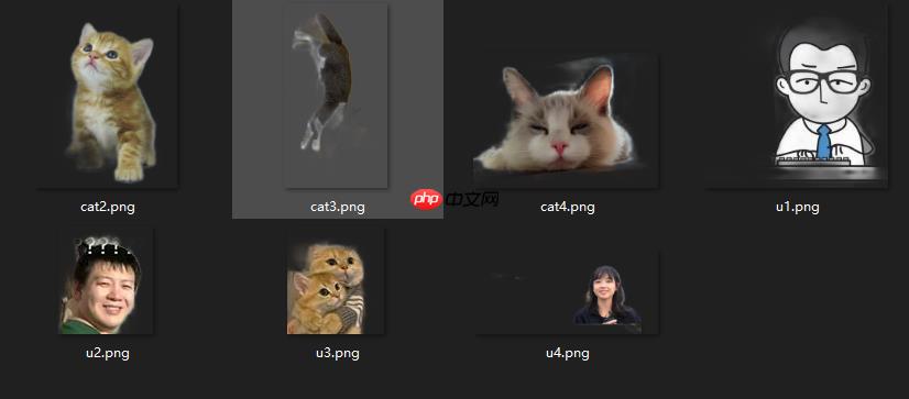 基于Oxford-IIIT Pet数据集实现PaddleHub猫咪一键抠图 - php中文网