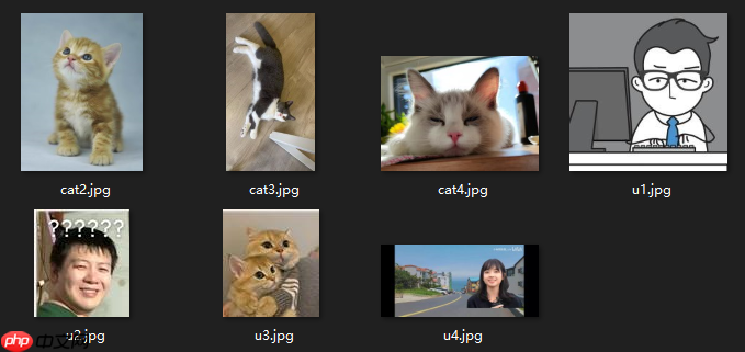 基于Oxford-IIIT Pet数据集实现PaddleHub猫咪一键抠图 - php中文网