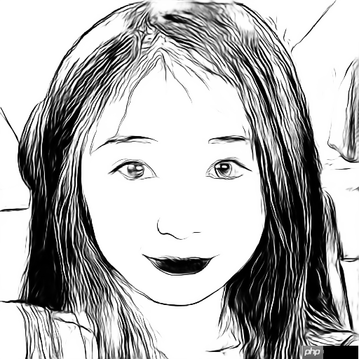 [NCDA]一键教你玩转飞桨人像模型 - php中文网