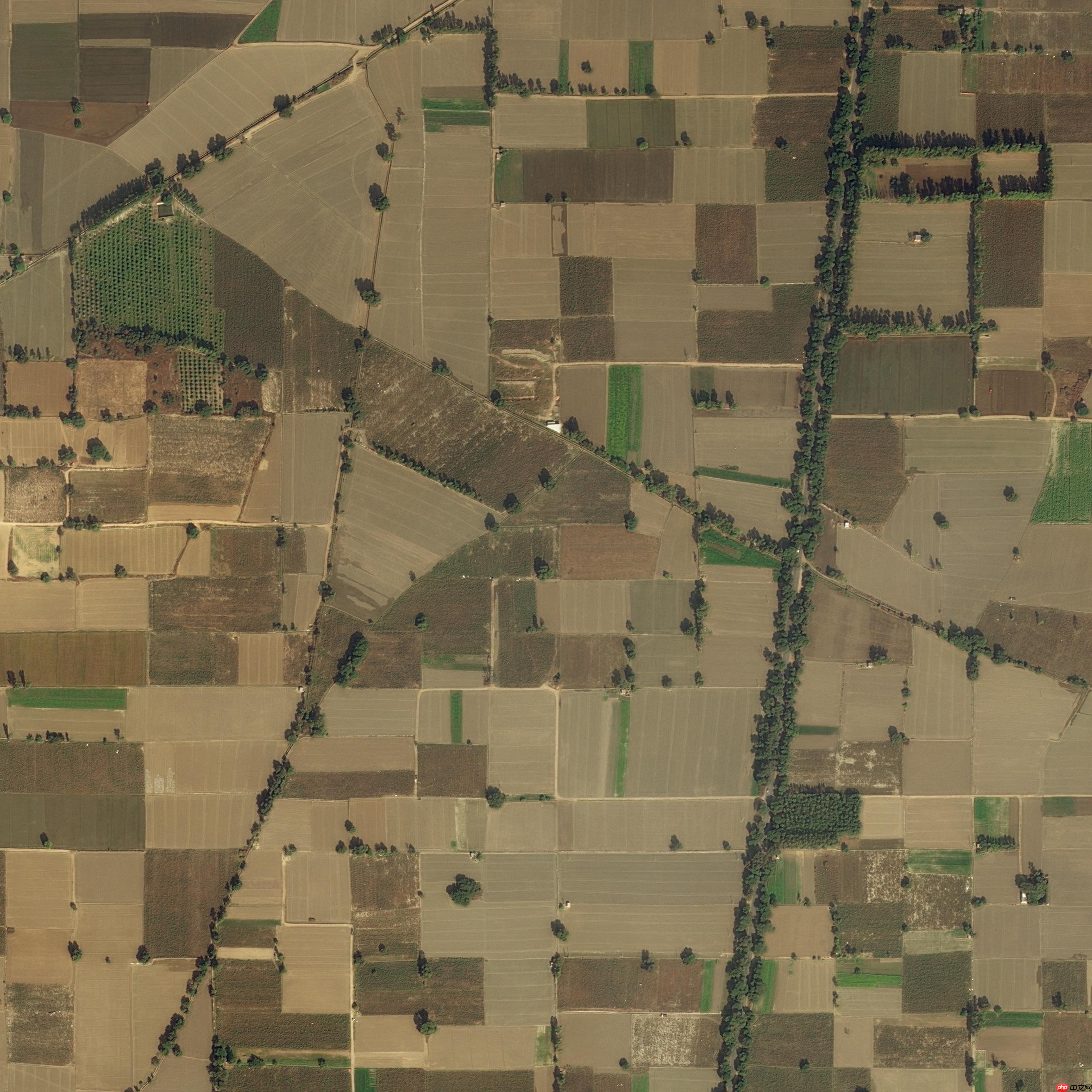 【校园AI Day-AI workshop】卫星遥感图像切割多模型对比 - php中文网