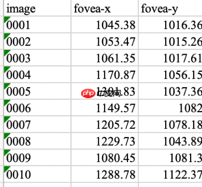 【飞桨常规赛】GAMMA中央凹检测 11月第2名方案 - php中文网