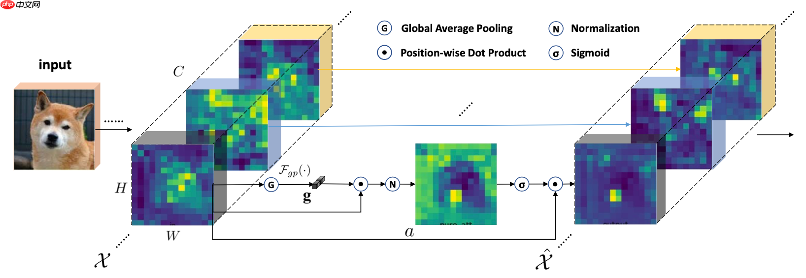 基于Paddle2.0的注意力卷积网络SGE - php中文网