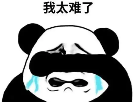 【Paddle打比赛】百度网盘AI大赛-图像处理挑战赛文档检测优化赛ONNX方案 - php中文网