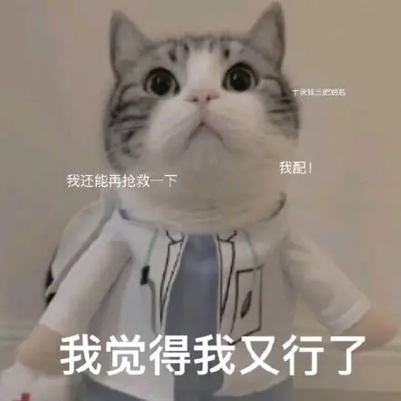 【Paddle打比赛】百度网盘AI大赛-图像处理挑战赛文档检测优化赛ONNX方案 - php中文网