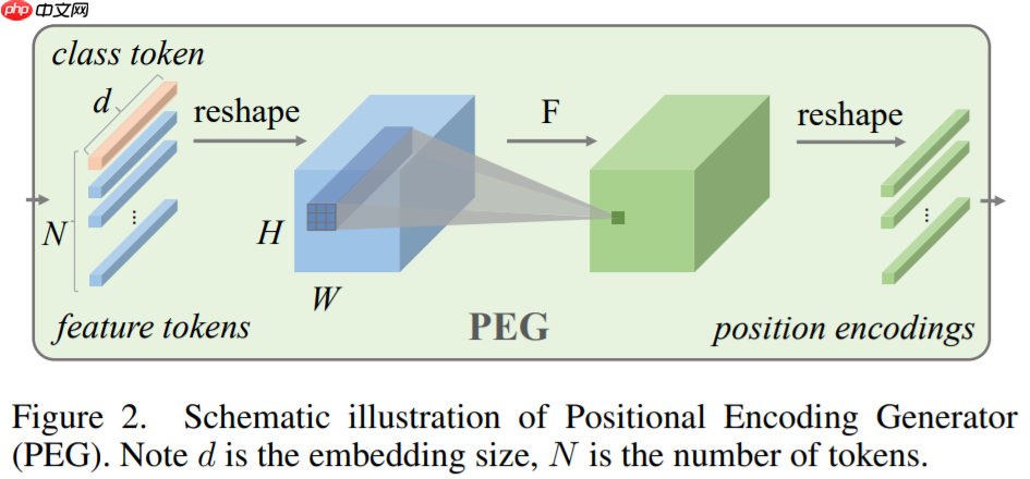 【AAAI 2023】ATMNet：使用主动Token混合的MLP架构 - php中文网
