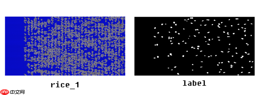 2021 iFLYTEK A.I 开发者大赛 碎米识别挑战赛-初赛榜三 - php中文网