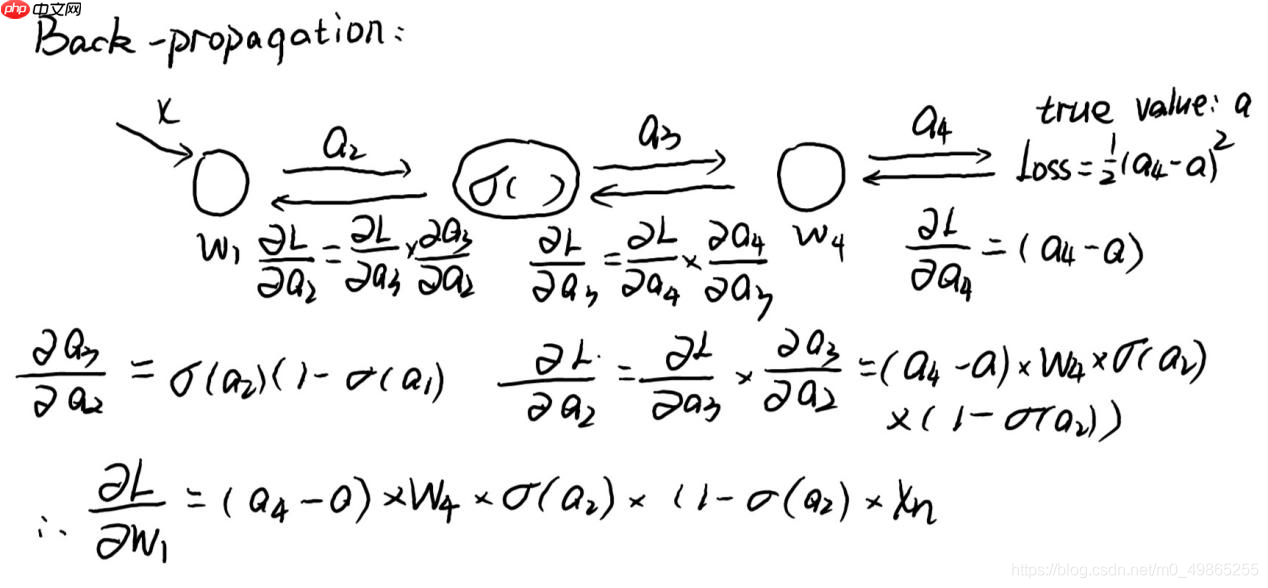 AlexNet-经典神经网络论文阅读记录及复现1 - php中文网