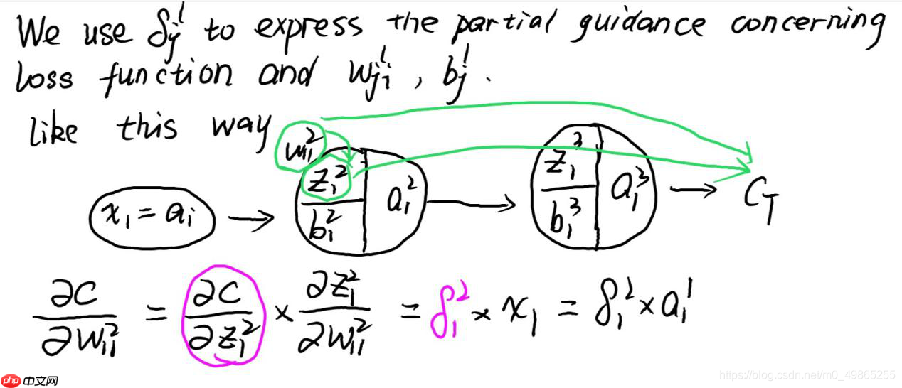AlexNet-经典神经网络论文阅读记录及复现1 - php中文网