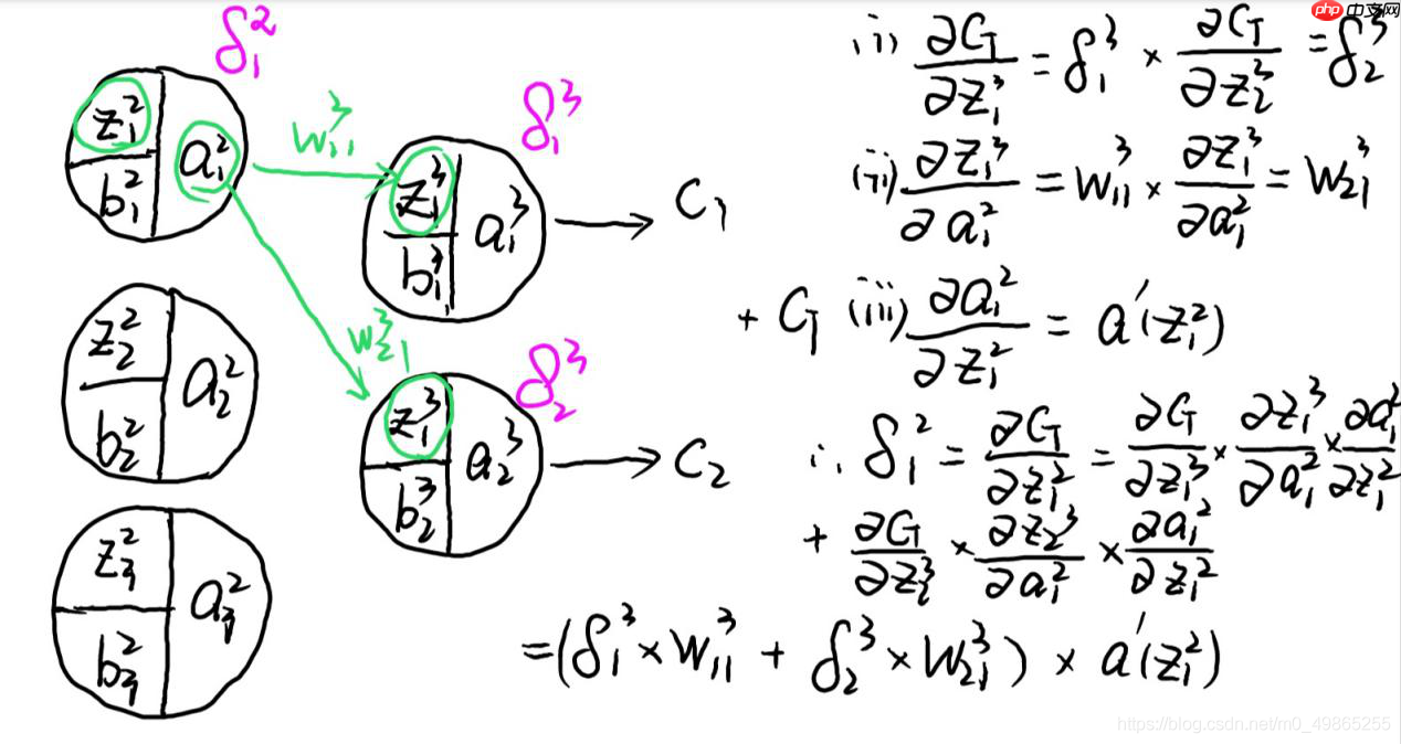 AlexNet-经典神经网络论文阅读记录及复现1 - php中文网