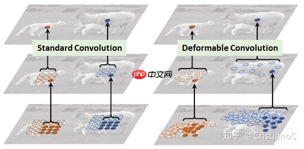【AI达人特训营第三期】时频图分类项目 - php中文网