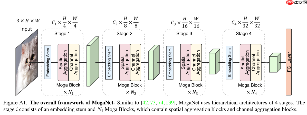 【ICLR 2024】MogaNet: 高效多阶门控聚合网络 - php中文网