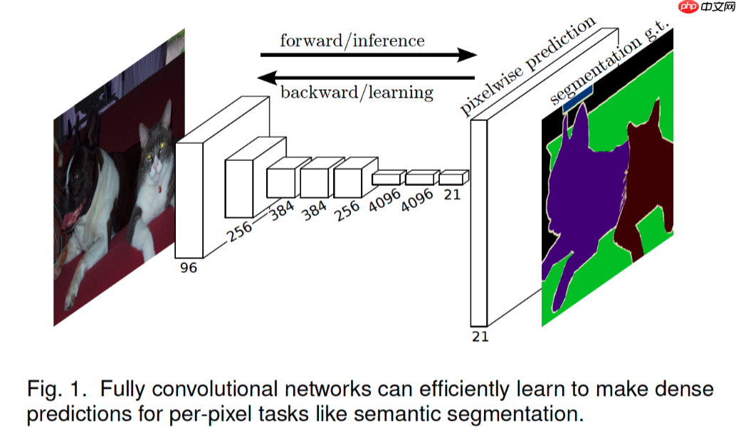 PaddleSeg代码解读-数据增强与模型结构解读 - php中文网