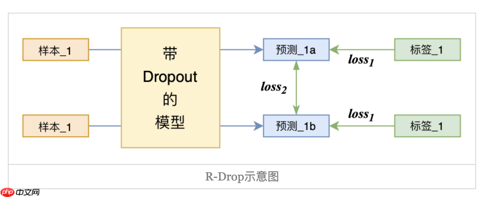 R-Drop论文复现 - php中文网