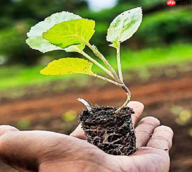 R-Drop论文复现 - php中文网