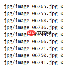 论文复现：基于PaddleClas复现VovNet - php中文网