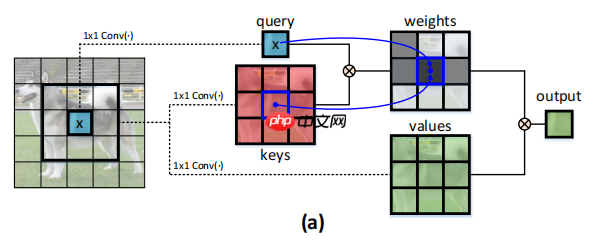 基于PaddlePaddle复现CoTNet - php中文网